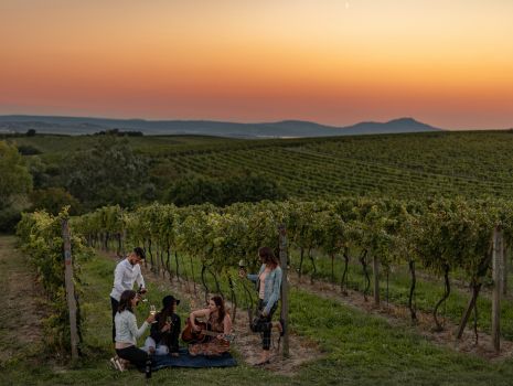 República Tcheca além de Praga: sabores, bebidas e experiências únicas