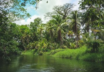 galeria Pontos turísticos Panamá