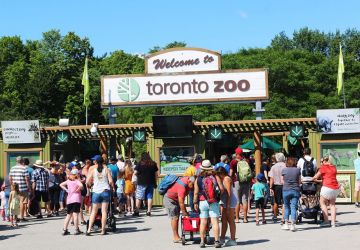 galeria Pontos turísticos Toronto