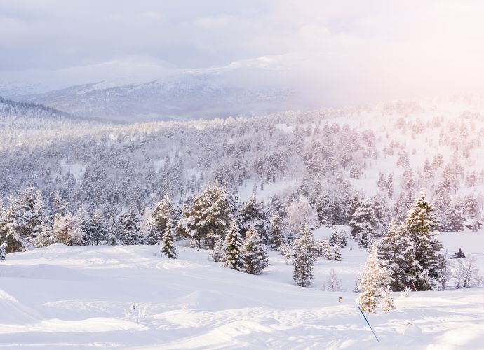 observacoes importantes