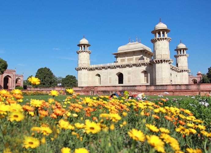 observacoes importantes