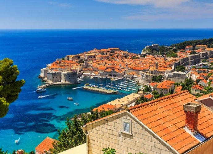 observacoes importantes