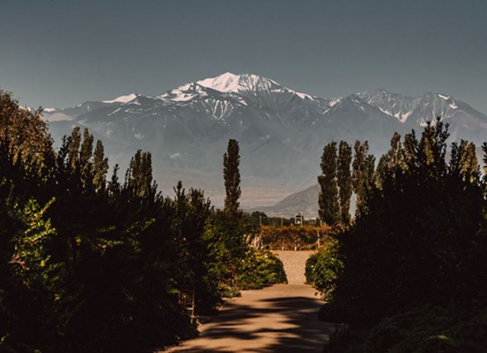 observacoes importantes