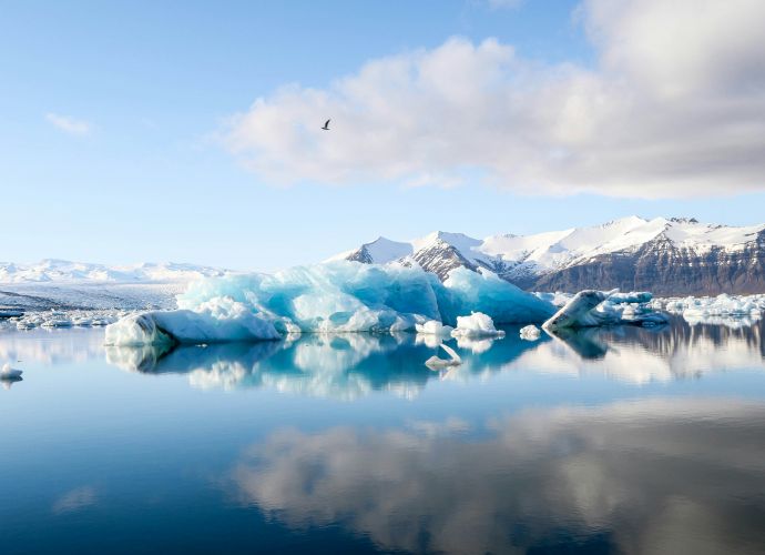 observacoes importantes