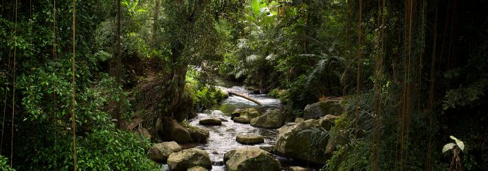 Réveillon na Indonésia 