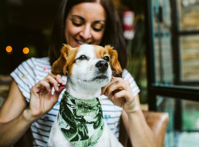 Roteiro Pet Friendly em Fortaleza:  Viaje com seu pet