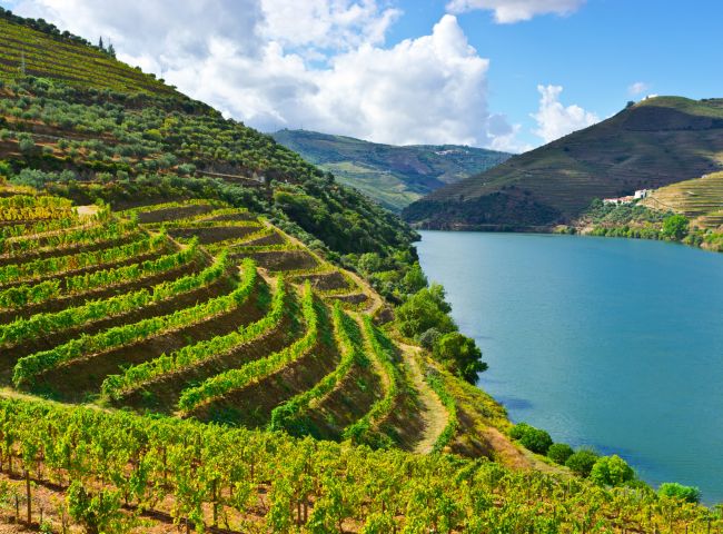 As Vinícolas de Portugal: encante-se com essa experiência