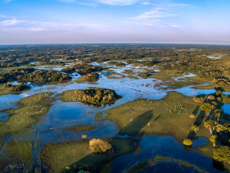 Conheça o Pantanal com a Wee Travel