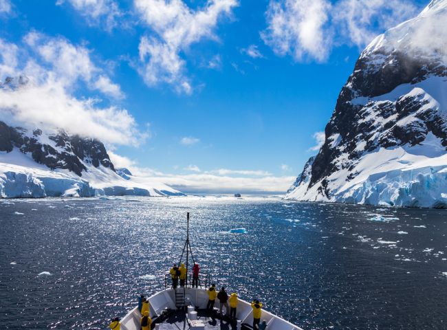 O universo exuberante da Antártica